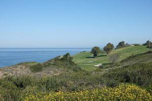 Torrey Pines (North) 15th Reverse Flowers